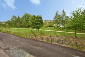 Front Views- click for photo gallery
